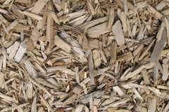 biomass boilers Veldo